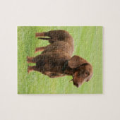 Puzzle Dachshund (Horizontal)