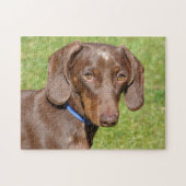 Puzzle Dachshund (Horizontal)