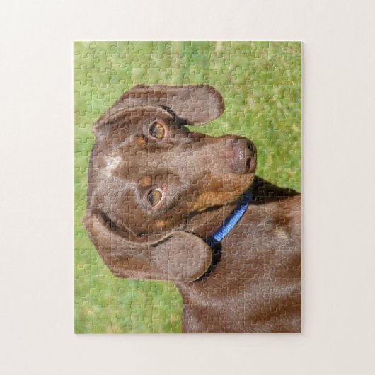 Puzzle Dachshund (Vertical)