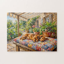 Dachshund se reposant sur un banc de jardin en pat