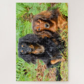 Puzzle Dachshunds (Vertical)