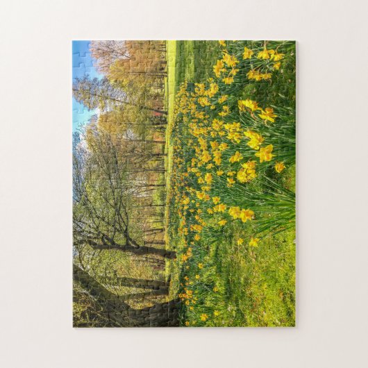 PUZZLE DAFFODIL (Vertical)