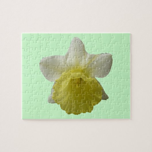 Puzzle Daffodil (Horizontal)