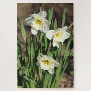 Puzzle Daffodil Fleuri