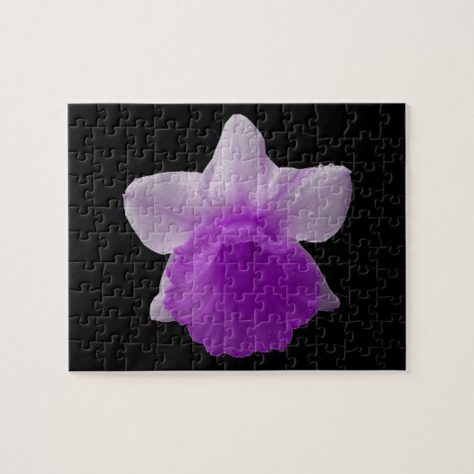 Puzzle Daffodil Purple (Horizontal)