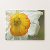 Puzzle Daffodile (Horizontal)