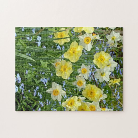 Puzzle Daffodique de printemps (Horizontal)