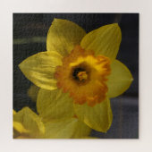 Puzzle Daffodique jaune (Horizontal)