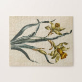 Puzzle Daffodique vintage de fleurs botaniques (Horizontal)
