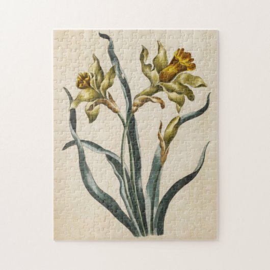 Puzzle Daffodique vintage de fleurs botaniques (Vertical)