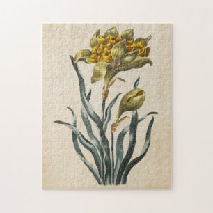 Puzzle Daffodique vintage de fleurs botaniques