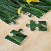 Puzzle Daffodiques de printemps (Côté)