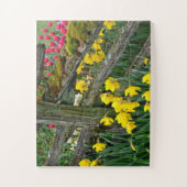 Puzzle Daffodiques de printemps (Vertical)