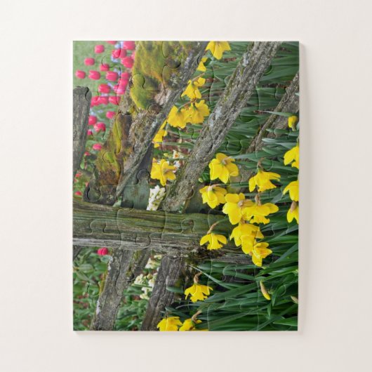 Puzzle Daffodiques de printemps (Vertical)