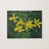 Puzzle Daffodiques de printemps (Horizontal)