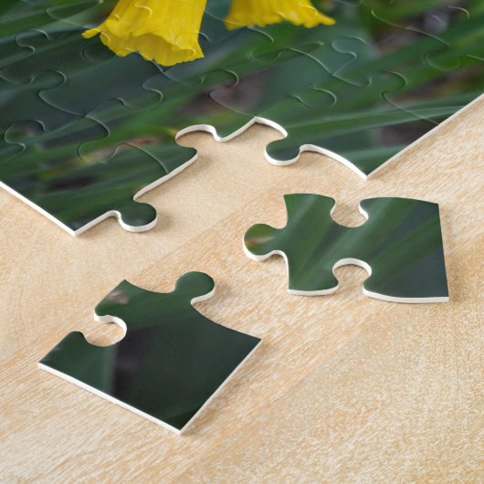 Puzzle Daffodiques de printemps (Côté)