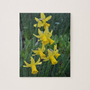 Puzzle Daffodiques de printemps