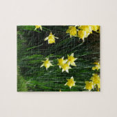 Puzzle Daffodiques de printemps (Horizontal)