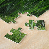 Puzzle Daffodiques de printemps (Côté)