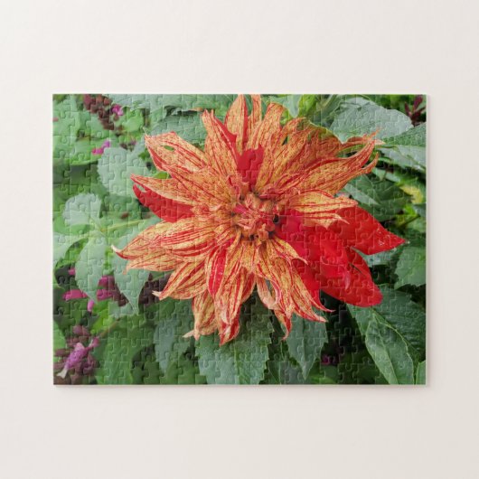 Puzzle Dahlia (Horizontal)