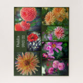 Puzzle Dahlia Fleurs Sept Collage Photo 520pc Jigsaw Pu (Vertical)