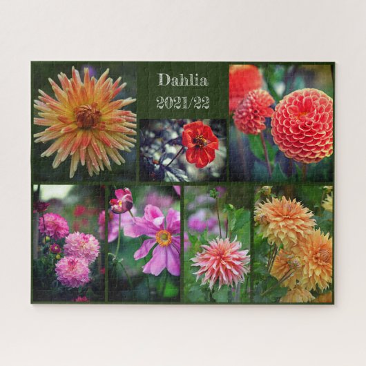 Puzzle Dahlia Fleurs Sept Collage Photo 520pc Jigsaw Pu (Horizontal)