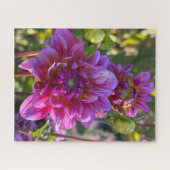 Puzzle Dahlia pourpre, Oakland (Horizontal)