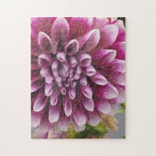 Puzzle Dahlia rose (Vertical)