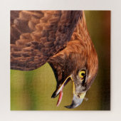 Puzzle d'aigle sauvage, 676 pcs (Horizontal)