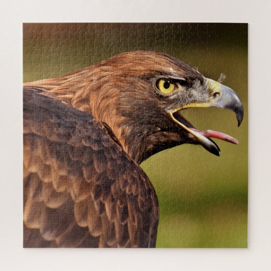 Puzzle d'aigle sauvage, 676 pcs (Vertical)