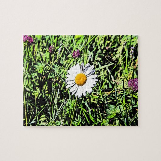Puzzle Daisy (Horizontal)