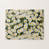 Puzzle Daisy (Horizontal)
