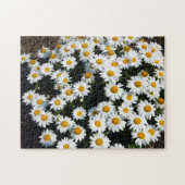 Puzzle Daisy Days (Horizontal)