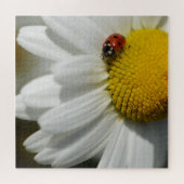 Puzzle Daisy Et Un Ladybug (Horizontal)