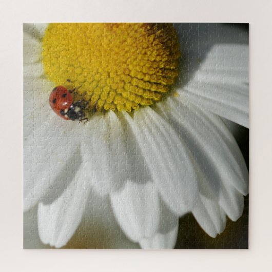 Puzzle Daisy Et Un Ladybug (Vertical)