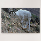Puzzle Dall Sheep à flanc de colline (Horizontal)