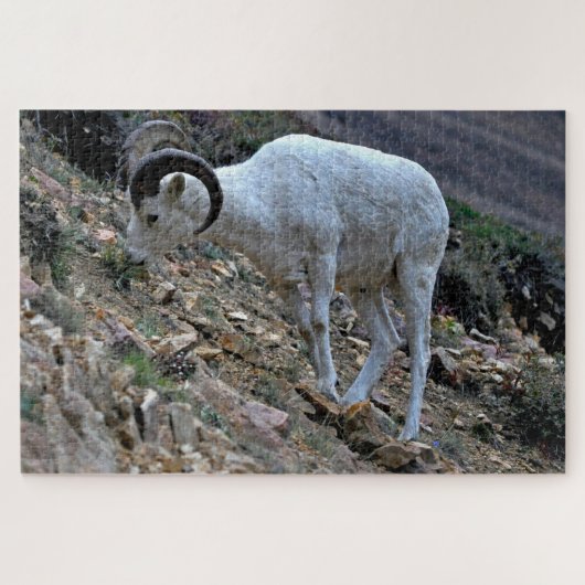 Puzzle Dall Sheep à flanc de colline (Horizontal)