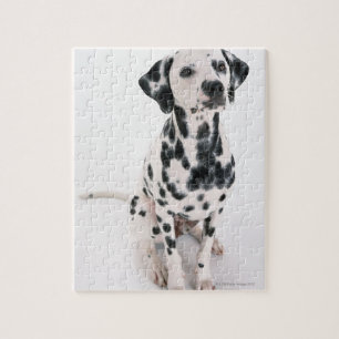 Puzzle Dalmate