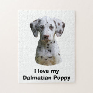 Puzzle Dalmatian puppy