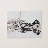 Puzzle Dalmatien (Horizontal)