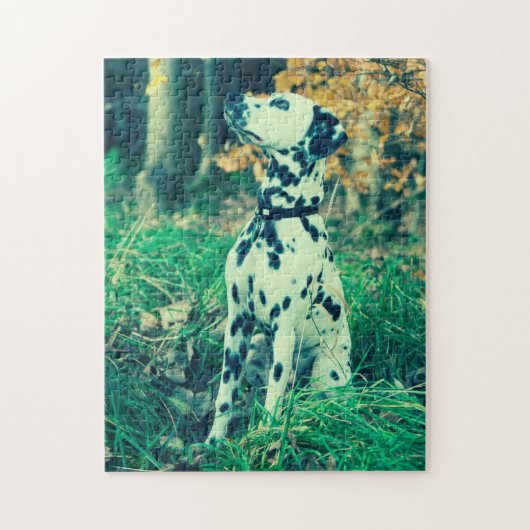 Puzzle Dalmatien (Vertical)