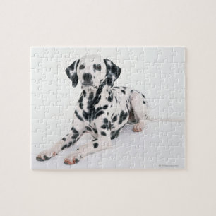 Puzzle Dalmatien 4