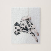Puzzle Dalmatien 4 (Vertical)