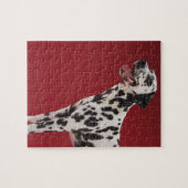 Puzzle Dalmatien 6 (Horizontal)