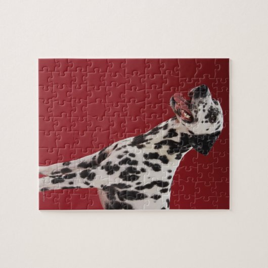 Puzzle Dalmatien 6 (Horizontal)