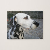 Puzzle Dalmatien - La reina de Cindy (Horizontal)