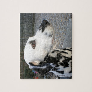 Puzzle Dalmatien - La reina de Cindy