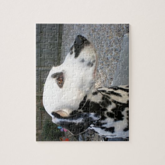 Puzzle Dalmatien - La reina de Cindy (Vertical)