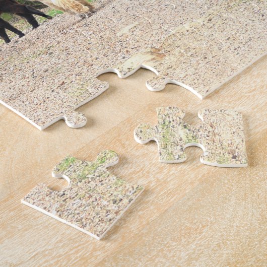 Puzzle d'alpaga (Côté)