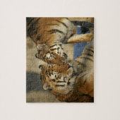 Puzzle d'amour de tigre (Vertical)